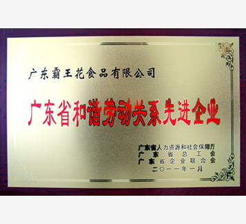 廣東省和諧勞動關系先進企業