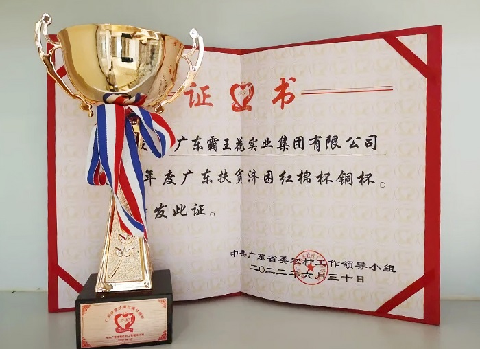 2021年度廣東扶貧濟困紅棉杯銅杯